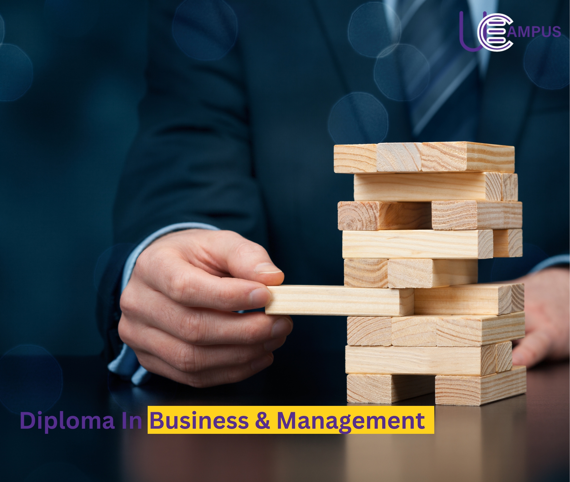 Level 3 Integrated Diploma in Business and Management